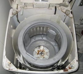 萧山海尔洗衣机维修