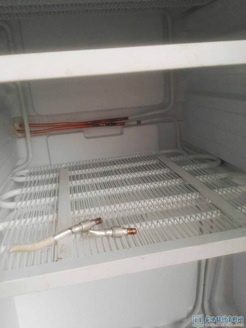 美的bcd 216tesmq三门冰箱内漏开背维修 图