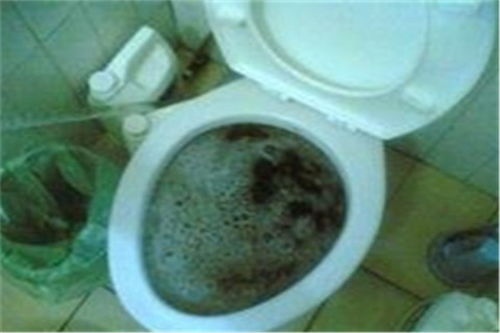 图 东莞南城管道清理师傅 抽化粪池公司电话 东莞管道维修 东莞列表网